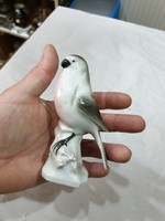 Régi német porcelán madár figura 