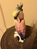 Régi ENS porcelán festett kakadu-hibátlan állapotban!