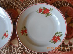 Zsolnay Mikulásvirág mintás lapos tányérok