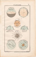 A látóhatár 1906 (1), eredeti, atlasz, csillagászat, szélrózsa, sík, távlat, átmetszet, délkör