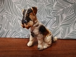 Foxi porcelán kutya