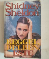 Sidney Sheldon: morning, noon, night, recommend!