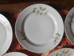 Alföldi porcelán, ritka margaréta mintás lapos tányérok 5 db