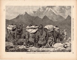 Áruszállítás Kelet - Turkesztánban, metszet 1875, eredeti, német, újság, 22 x 31, fametszet, teve