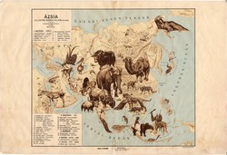 Ázsia állatföldrajzi térkép 1928, magyar nyelvű, 28 x 41 cm, állat, hal, madár, emlős, gerinces