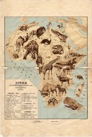 Afrika állatföldrajzi térkép 1928, magyar nyelvű, 28 x 41 cm, állat, hal, madár, emlős, gerinces