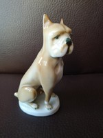 Zsolnay hand painted boxer dog, perfect