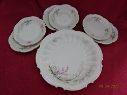 Schwarzenhammer German porcelain antique cake set. His serial number is 35. There are!