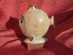Kőbánya porcelain eosin flat fish