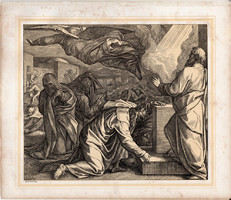Bibliai kép (36), nyomat 1860, 22 x 25, A Szent Biblia díszes képekben, ige, II. Sam. 24, 17., Dávid