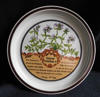 Gyógynövényes tányér (Thymus serpyllum-keskenylevelű kakukkfű)