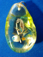 Medál, tengeri csikó öntött borostyán gyantában