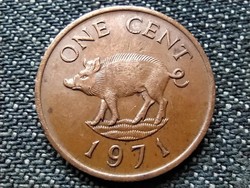 Bermuda II. Erzsébet vaddisznó 1 cent 1971 (id36744)