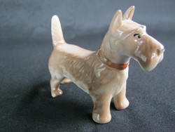 Aquincum porcelain fox dog