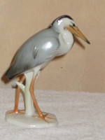 Volsktedt is a very rare egret bird