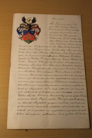 Nemeslevél és címer leírás okirat hiteles másolat 1917-ből