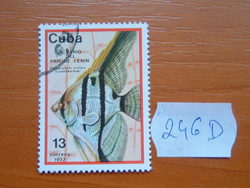 KUBA 13 (C) 1977 Hal a Lenin Park Akváriumban, Havanna, Pterophyllum scalare 246D
