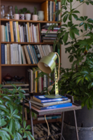 Méregzöld retro íróasztali lámpa - állítható midcentury modern design lámpa