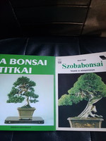 Secrets of the bonsai-room bonsai.2 Pieces of book.-Japanese garden.