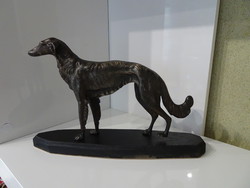 Gyönyörű hibátlan nagyméretű bronz agár kutya.
