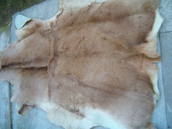 175 cm hosszú szőrme szőnyeg talán vaddisznó vagy tehén bubda nem tudom szőr KIÁRUSÍTÁS 1 forintról
