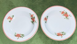 2 db Mikulásvirágos Zsolnay Leveses tányér egyben 24 cm 