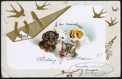 120 éves cica-kutya-fecske motívumos képeslap 1900-ból