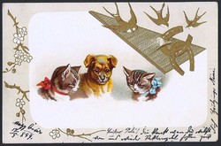 120 éves cica-kutya-fecske motívumos képeslap 1899-ből