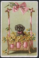 105 éves dombornyomott képeslap, Kutyus a virágos ládában 1915