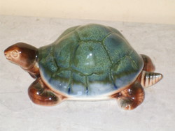 A rare turtle frog