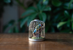 Miniatűr papagáj kalitkában - babaházi kiegészítő, bababútor - pici játék