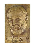 1C784 Juhász Gyula 1883-1937 bronz plakett 13 x 8.5 cm