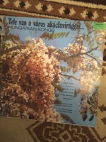 The city is full of acacia flowers vinyl record!