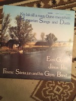 A small house for sale along the Great Danube vinyl record!