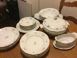 Unger & Schilde roschütz tableware, 6 persons (300)