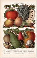 Trópusi gyümölcsök, színes nyomat 1906, német nyelvű, eredeti, litográfia, gyümölcs, virág, mag