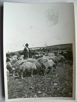 A JÓ PÁSZTOR SZENTFÖLDÖN 1930 KÖRÜL (12X8,5 CM) FOTÓ EREDETI 
