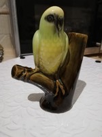 papagáj faágon