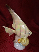 Drasche porcelain, fish figure with shell, height 15 cm. He has. Nice!