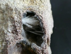 Természetes, fluoreszkáló Aragonit kristályok a Dolomit anyakőzetben. Gyűjtői darab.