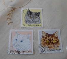 Magyar bélyeg – macskák, 1968 (amatőr gyűjtemény)