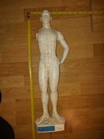 Fél méteres kínai orvosi/természetgyógyászati anatómiai szobor, akupunktúrás térkép