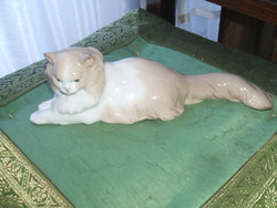 Csodás  porcelán cica
