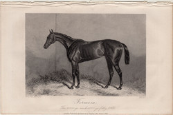 Formosa, acélmetszet 1868, metszet, eredeti, 10 x 14, ló, lóverseny, versenyló, Epsom, thoroughbred