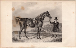 Valiant, acélmetszet 1839, metszet, eredeti, 11 x 13, ló, Királyi vadászat, Lord Fitzclarence