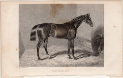 Loutherbourg, acélmetszet 1839, metszet, eredeti, 10 x 14, ló, versenyló, lóverseny, Brighton Stakes