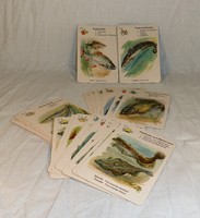 Régi kártya, 1961,  horgászoknak, szakácsoknak, gyűjtőknek