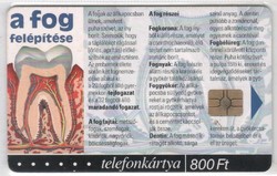 Magyar telefonkártya 0147    2002 Puska Biológia 4   GEM 7    50.000 Db-os