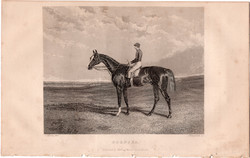 Hornsea, acélmetszet 1837, metszet, eredeti, 10 x 13, állat, ló versenyló, lóverseny, Newmarket