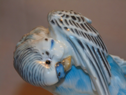 Kizárólag katimami53 részére Augarten antik ritka porcelán papagáj